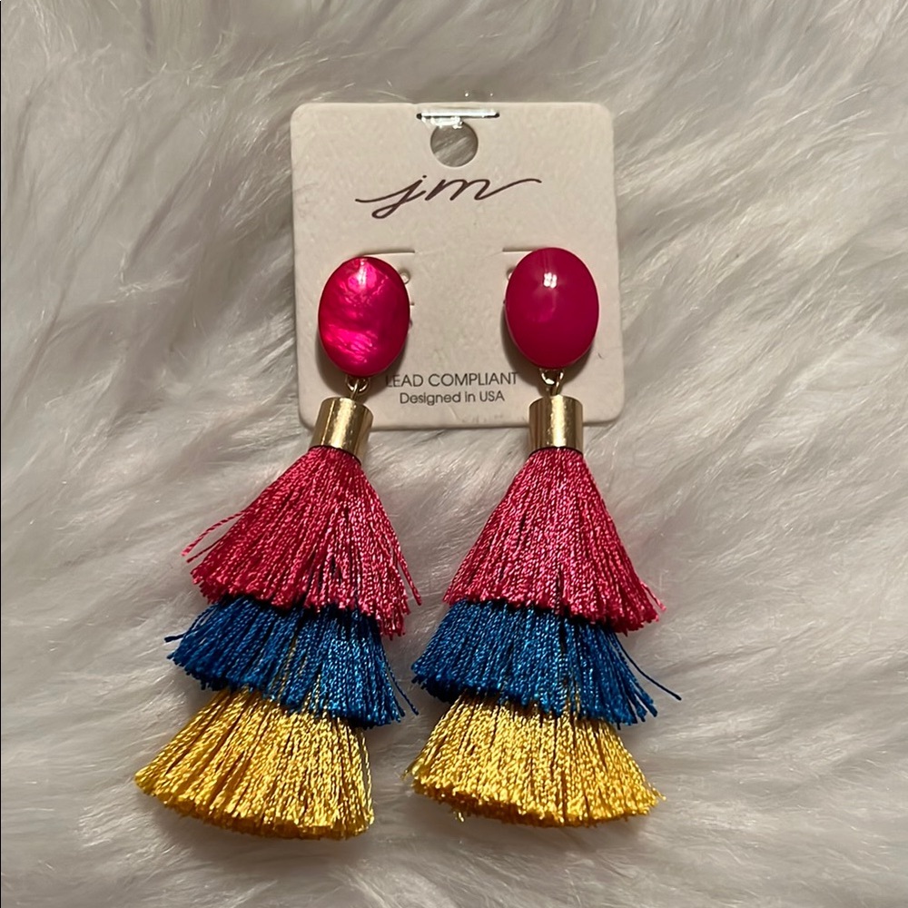 JM Multicolor Tassel Earrings